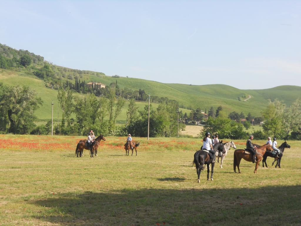 Podere Pian Dei Gelsi