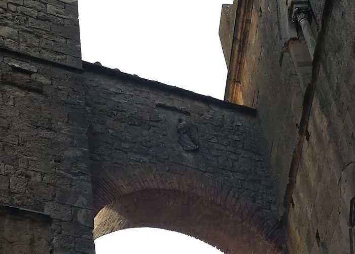 Podere Pian Dei Gelsi