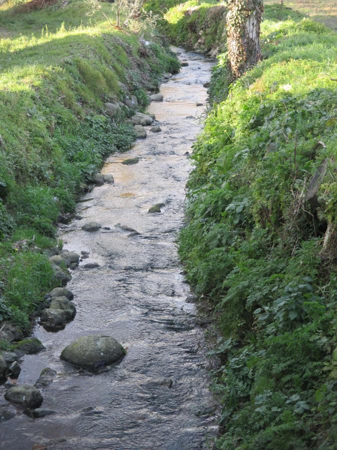 Gasthuis Podere Pian Dei Gelsi Volterra