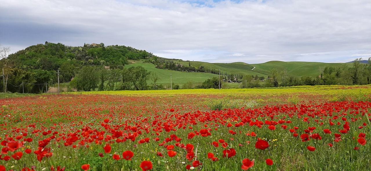 Podere Pian Dei Gelsi Volterra