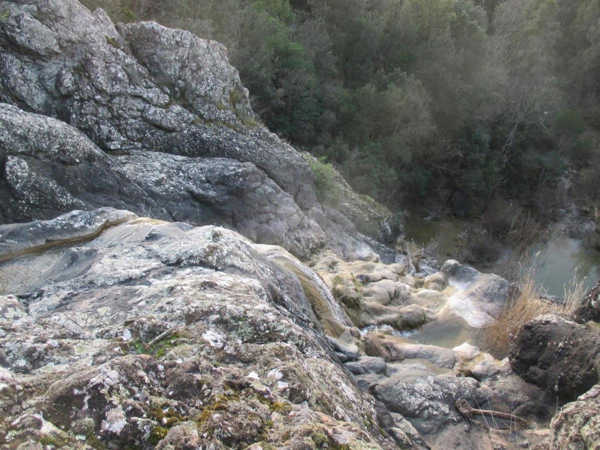 Gasthuis Podere Pian Dei Gelsi Volterra