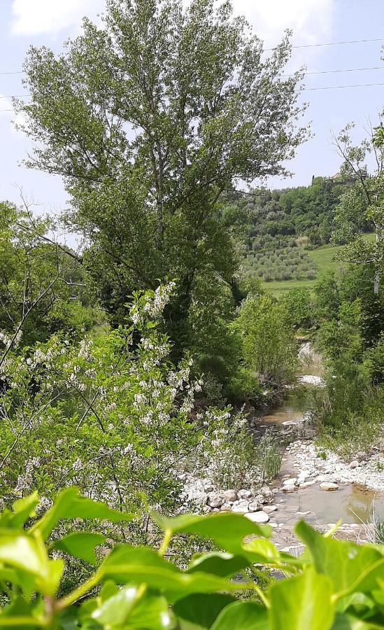 Podere Pian Dei Gelsi