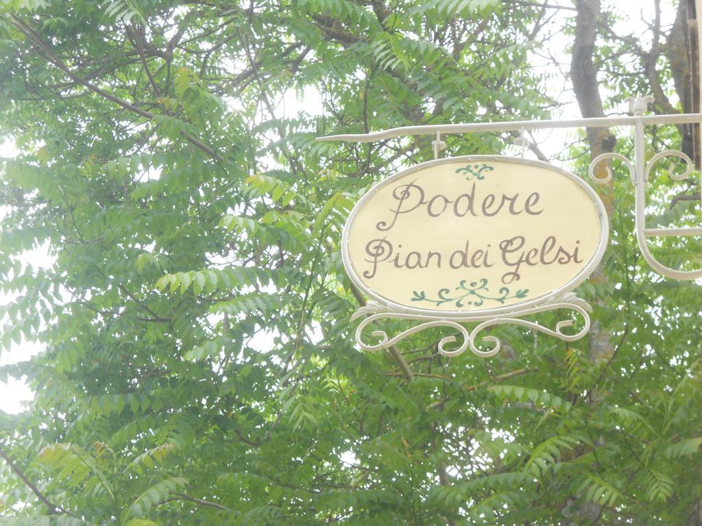 Podere Pian Dei Gelsi *